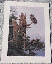 TERRY A ISAAC On The Precipice - Spotted Owl Signed Numbered Art Print 217 / 950 - £61.47 GBP