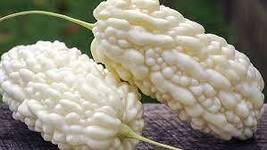 15 White Momordica charantia Seeds, White Bitter Gourd Seeds, White Kare... - £6.37 GBP