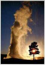 Postcard  Eruption of Old Faithful Yellowstone National Park 7 x 5 Ins. - £5.30 GBP