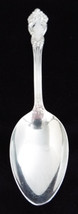 Vintage Reed & Barton Tiger Lily 8 1/4 Inch Silverplate Serving Spoon - $49.99