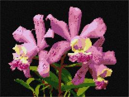 Pepita Needlepoint Canvas: Open Orchids, 12&quot; x 9&quot; - £68.74 GBP+