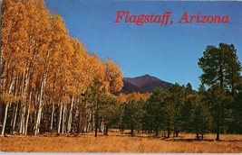 San Francisco Peaks in the Autumn Flagstaff Arizona Postcard - £5.43 GBP