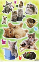 D324 Cat Kitten Tomcat Animal Kids Kindergarten Sticker 27x18cm/10x7&quot; - £3.18 GBP