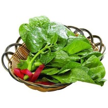Organic 200 Seeds Malabar Spinach Seed Vine Spinach Seed Basella Rubra - $4.08