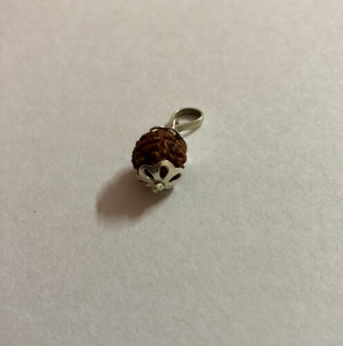 Lab Certified 925 Silver + 5 Mukhi RUDRAKSHA Panchmukhi Rudraksh 5 Face Pendant Item image 8