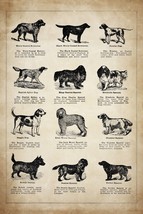 Poster Decor.Home interior wall design.Vintage Pet shop.Vet dog show.14996 - £12.94 GBP+