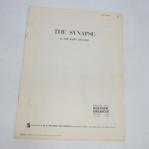 1965 Offprint Scientific American Il Sinapsi - £16.05 GBP