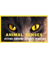 Animal SUPER Senses DIRECT BINDING sensational sight hearing strength ps... - £133.52 GBP