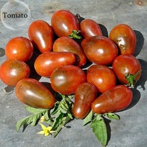 100 Seeds Chocolate Pear-Shaped Cherry Tomato Organic Tasty Edible Vegetables US - £4.65 GBP