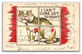 Comic I Can&#39;t Come Out Tonight Crying Cat in Window UDB Postcard S3 - £4.06 GBP