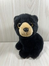 Ty Wild Wild Best 10&quot; Midnight 2011 plush black bear large plastic eyes - £15.56 GBP