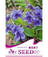 Chinese Violet Flower 50 - $8.98