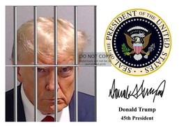 President Donald Trump Mugshot Presidential Seal Autographed 4X6 Photo - £6.26 GBP