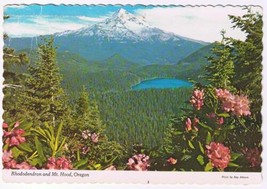 Oregon Postcard Rhododendrons Mt Hood National Park Lost Lake - £2.32 GBP