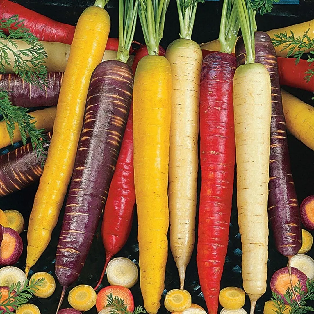 TISS 500 Rainbow Blend Carrot Seeds Vegetable Garden Mixture Garden Seeds - $8.38