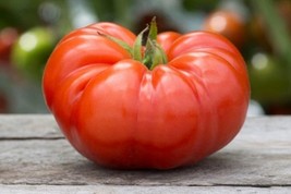 60 Beefsteak Tomato Seeds Organic Heirloom NON GMO FRESH - £6.22 GBP