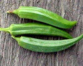 300 Clemson Spineless Green Okra Abelmoscgus Esculentus Vegetable Seeds Fresh Us - £8.15 GBP