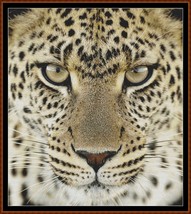 Leopard ! ~~ counted cross stitch pattern PDF - $15.99