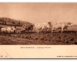 Ploughing in the Nivernais Painting by Rosa Bonheur UNP DB Postcard Z3 - $2.92