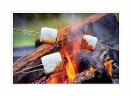 Blazing LEDz 9784596 Open Flame Roasting Extendable Marshmallow Fork, Pl... - £105.41 GBP