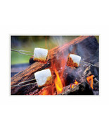 Blazing LEDz 9784596 Open Flame Roasting Extendable Marshmallow Fork, Pl... - £104.00 GBP