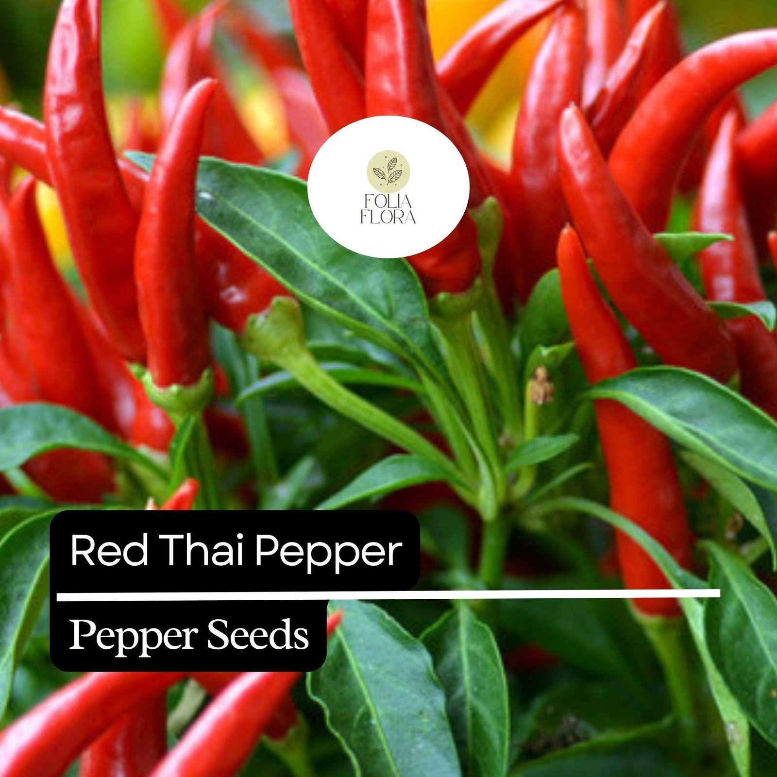 20 Red Thai Pepper Seeds – Hot &amp; Spicy, Heirloom, Non-GMO, High-Yield Ch... - $5.14