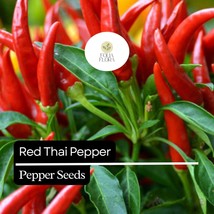 20 Red Thai Pepper Seeds – Hot &amp; Spicy, Heirloom, Non-GMO, High-Yield Ch... - $7.89 CAD