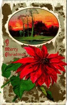 A Merry Christmas Pointsettia Winter Scene Winsch Back Embossed 1915 Postcard  - £3.08 GBP