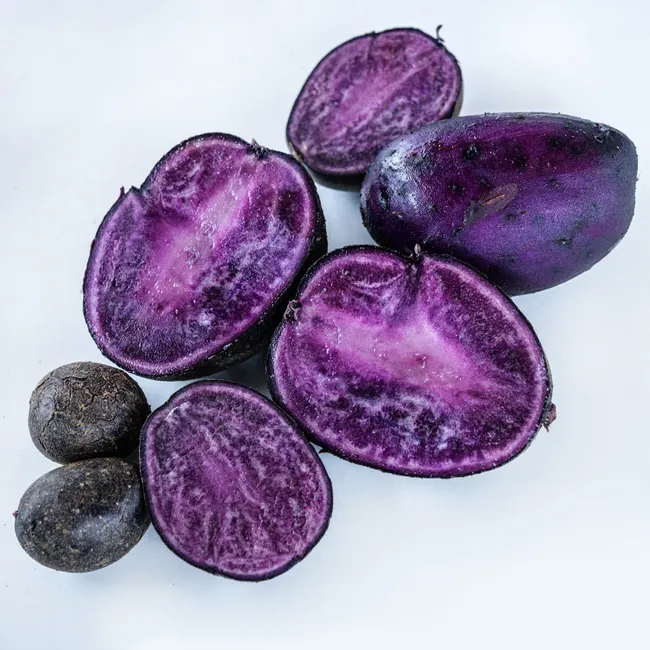 Potato Tubers Purple Majesty (10 Micro Tubers), Seeds R - £33.18 GBP