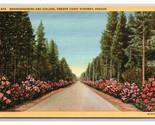 Rhododendron E Azaleas Oregon Coast Autostrada O Lino Cartolina N26 - $3.39
