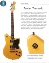 The 1998 Fender Toronado + Showmaster electric guitar 6 x 8 pin-up artic... - $4.23