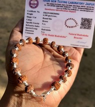 Lab Certificado 925 Plata 5 + 8 Mukhi Rudraksha Rudraksh Pulsera 7,5&quot; + Ext - $32.58