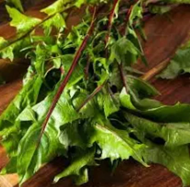1000 Seeds Dandelion Chicory Italian Red Stem Seeds Non-GMO - $5.99