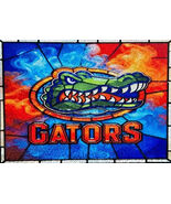  Florida Gators StainGlass Cross Stitch Pattern***L@@K*** - $3.95