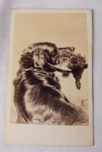 19c Antique Golden Retriever Dog Pheasant Hunting Cdv Photo Seller &amp; Granoi - £7.78 GBP