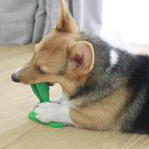 Dog Toothbrush Toy - $437.26 MXN