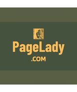 PageLady .com / Domains For Sale / Business Brand, Website Name / Namecheap - $350.80 MXN