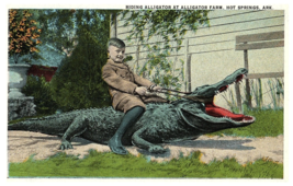 Boy Riding Alligator at Alligator Farm Hot Springs Arkansas Postcard - £11.61 GBP