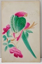 Embossed Airbrushed Parrot Greeting Hello 1914 WV to Virginia Postcard B11 - £6.31 GBP