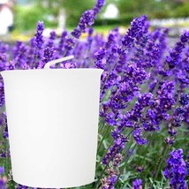 Lavender &amp; Citronella Scented Eco Soy Wax Votive Candles, Hand Poured - £17.99 GBP+