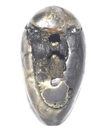 Sacred Adwaitya Golden Tara Dasha Maha Vidya Shaligram - Gandaki River N... - $4,159.78 MXN