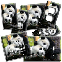 Cute Baby Panda Bear Cub And Mother Light Switch Outlet Wall Plate Room Hd Decor - £13.45 GBP+
