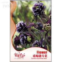 Goodidea Double Columbines Aquilegia Seeds, Original Pack, 20 seeds, high orname - $5.50