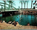 Lakeside Park Zoo Band Shelter Fond Du Lac Wisconsin WI UNP Chrome Postc... - $3.91
