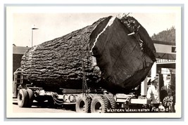 RPPC Western Washington Fir Log Ellis Photo 189 UNP Postcard R5 - $8.86