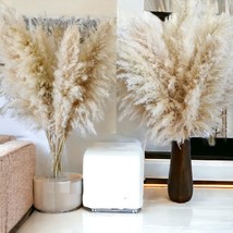 40&quot; Inch 20 Stems Natural Dried Pampas Grass  Tall, Large And Fluffy, No Sheddin - £50.61 GBP