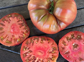 50 Seeds Cherokee Purple Tomato Juicy Tomatoe Vegetable Edible Foodgardening Bea - $8.82