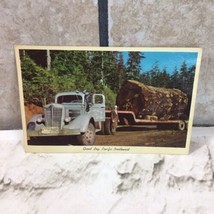 Collectible Postcard Giant Log Pacific Northwest Vintage 1966 Logging - $6.92