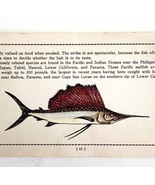 Sailfish 1939 Salt Water Fish Gordon Ertz Color Plate Print Antique PCBG19 - £22.37 GBP