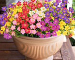 Artificial Flowers for Outdoors, 6 Bundles Artificial Plants Outdoor, Fa... - $31.33